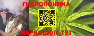 прущие грибы Пушкино