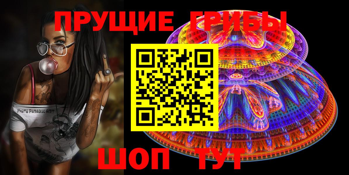 Псков  Псилоцибиновые грибы мицелий  Вход с VPN  Псилоцибиновые грибы Psilocybe 
